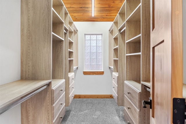 3415 Redhill Rd, Fairplay, CO 80440 - walk in closet with carpet