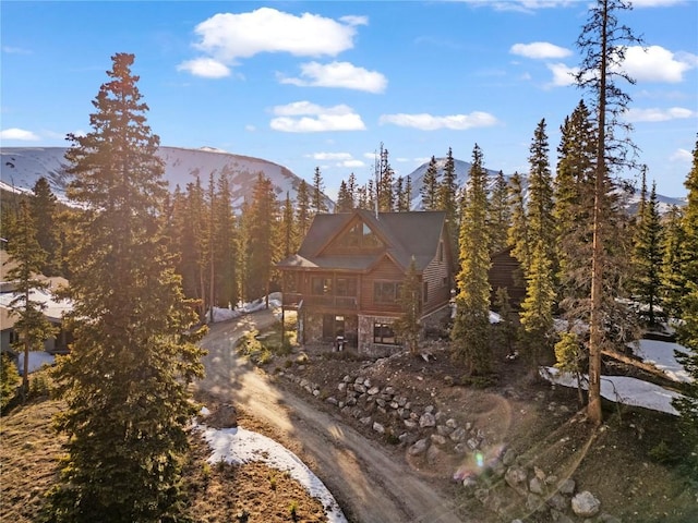 333 Camron Ln, Breckenridge, CO 80424 - mountain view