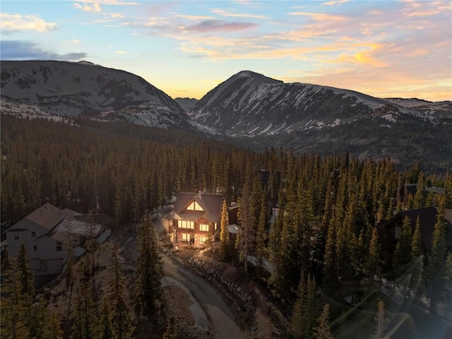 333 Camron Ln, Breckenridge, CO 80424 - view of mountain background featuring a forest