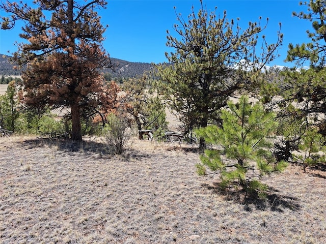 1038 Costella Dr, Hartsel, CO 80449 - photo 15