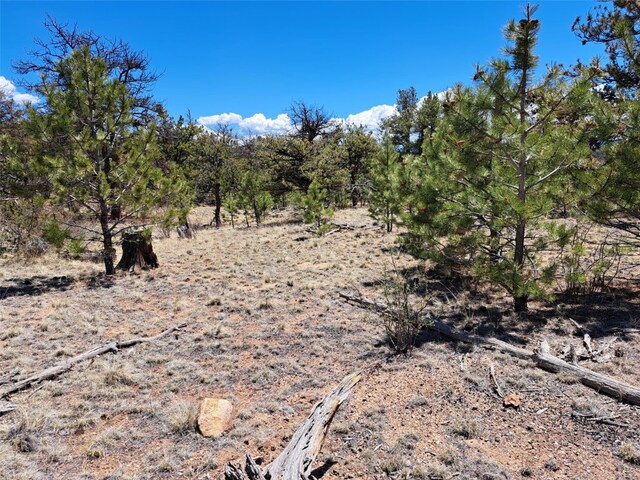 1038 Costella Dr, Hartsel, CO 80449 - photo 16