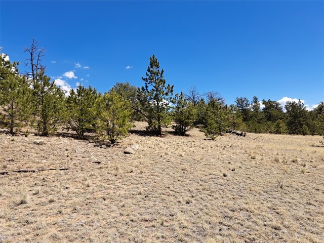1038 Costella Dr, Hartsel, CO 80449 - photo 12