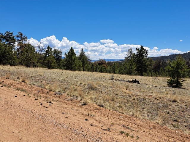 1038 Costella Dr, Hartsel, CO 80449 - photo 11
