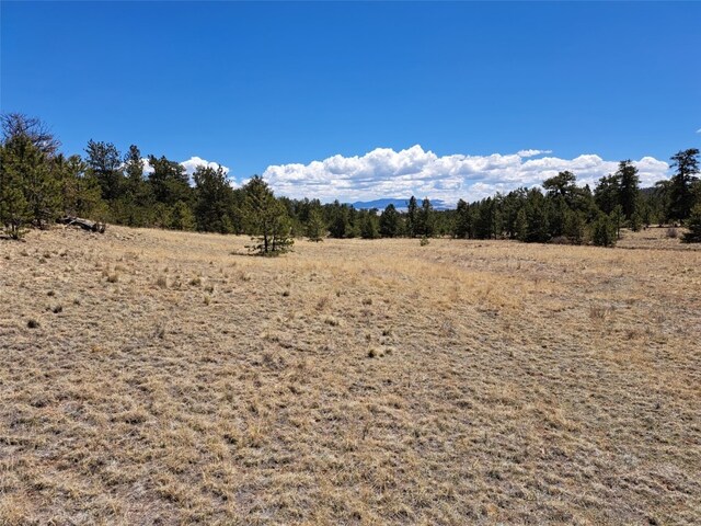 1038 Costella Dr, Hartsel, CO 80449 - photo 17
