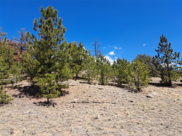 1038 Costella Dr, Hartsel, CO 80449 - photo 10