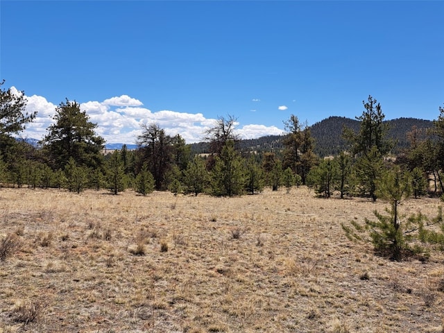 1038 Costella Dr, Hartsel, CO 80449 - photo 5