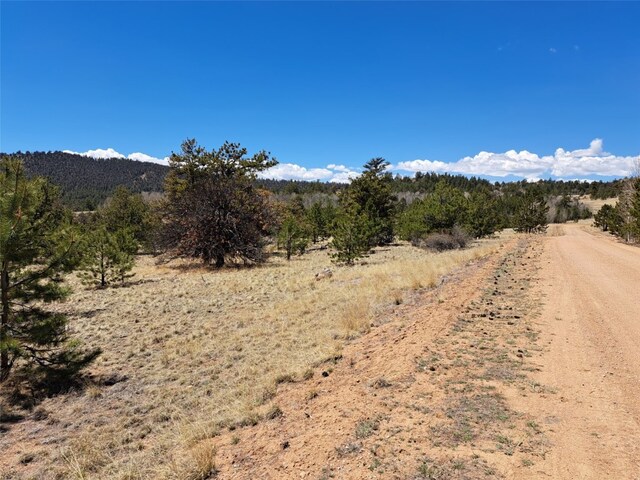 1038 Costella Dr, Hartsel, CO 80449 - photo 8