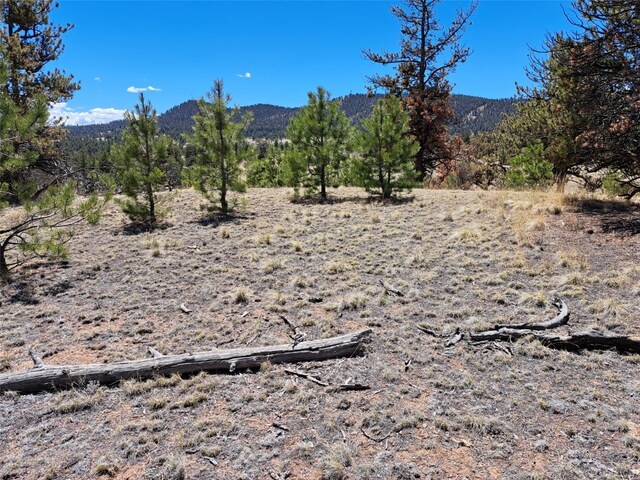 1038 Costella Dr, Hartsel, CO 80449 - photo 18