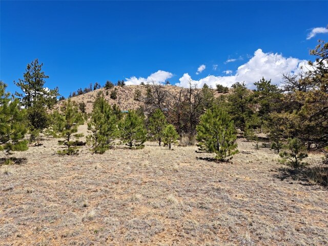 1038 Costella Dr, Hartsel, CO 80449 - photo 9