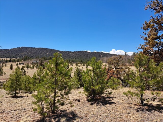 1038 Costella Dr, Hartsel, CO 80449 - photo 6