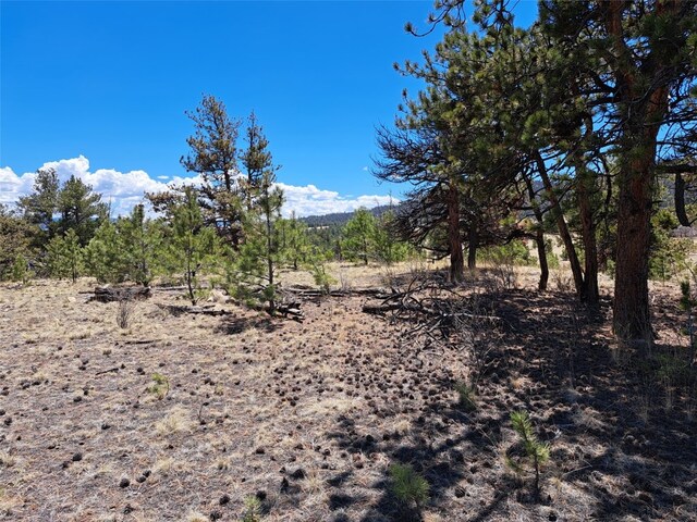 1038 Costella Dr, Hartsel, CO 80449 - photo 4