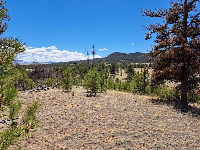 1038 Costella Dr, Hartsel, CO 80449 - photo 3