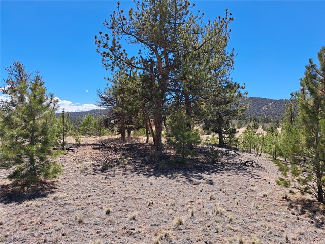 1038 Costella Dr, Hartsel, CO 80449 - photo 14