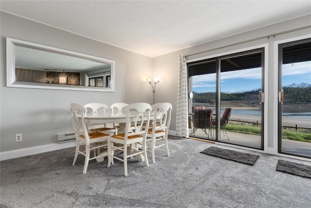 72 Corinthian Cir Unit 102, Dillon, CO 80435 - dining area featuring baseboards, carpet, and a textured ceiling