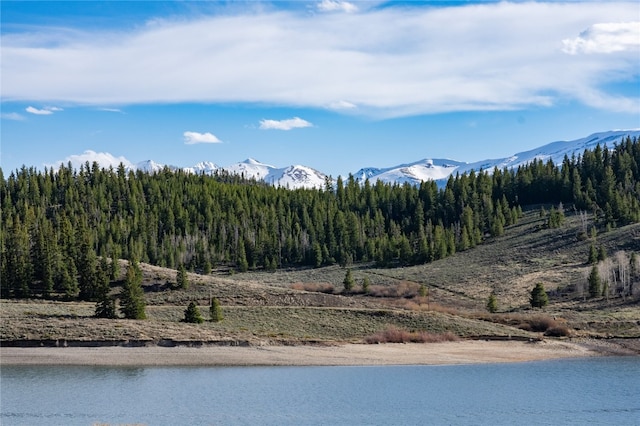 72 Corinthian Cir Unit 102, Dillon, CO 80435 - water view featuring a mountainous background and a heavily wooded area
