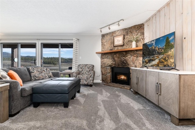 72 Corinthian Cir Unit 102, Dillon, CO 80435 - carpeted living room featuring a fireplace, rail lighting, and wooden walls