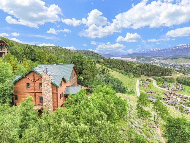 801 Lakeview Cir, Silverthorne, CO 80498 - photo 44