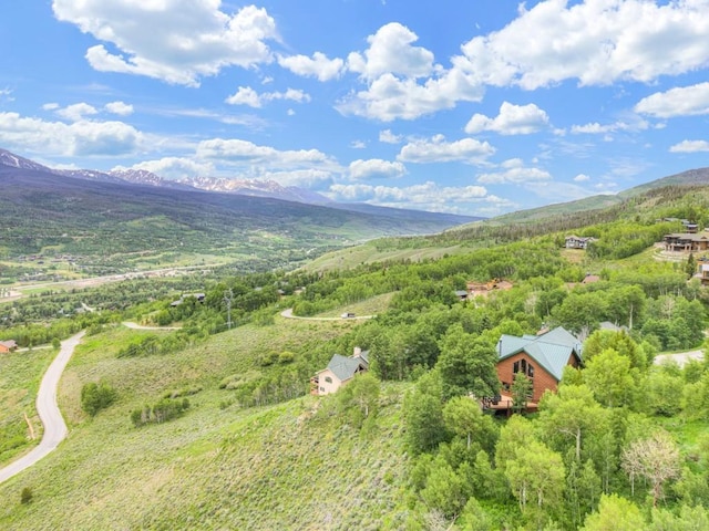801 Lakeview Cir, Silverthorne, CO 80498 - photo 47