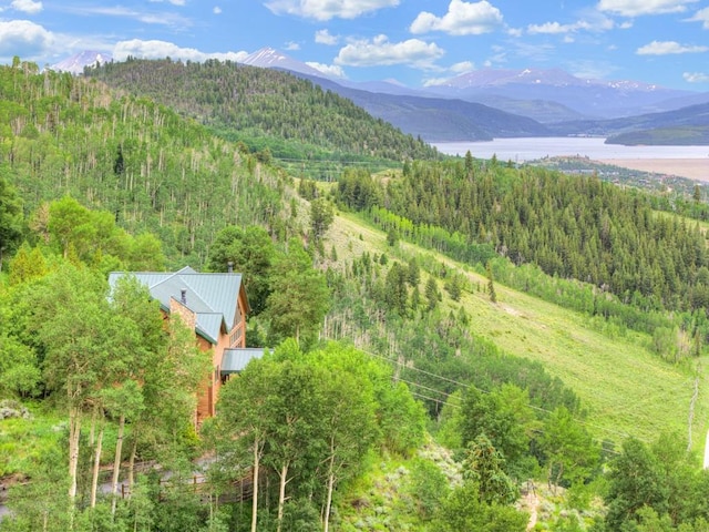 801 Lakeview Cir, Silverthorne, CO 80498 - photo 46