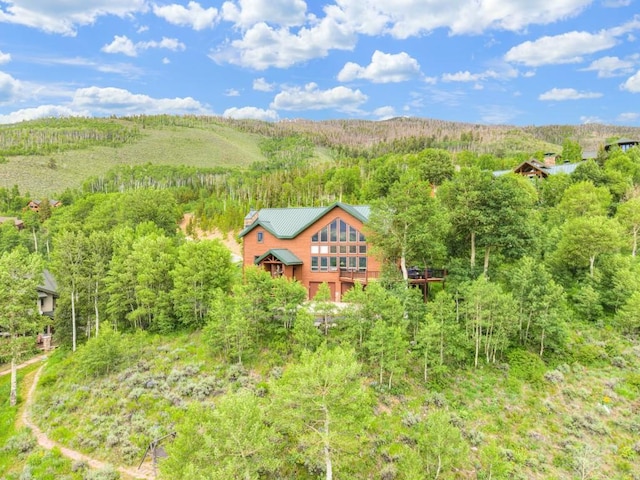 801 Lakeview Cir, Silverthorne, CO 80498 - photo 42