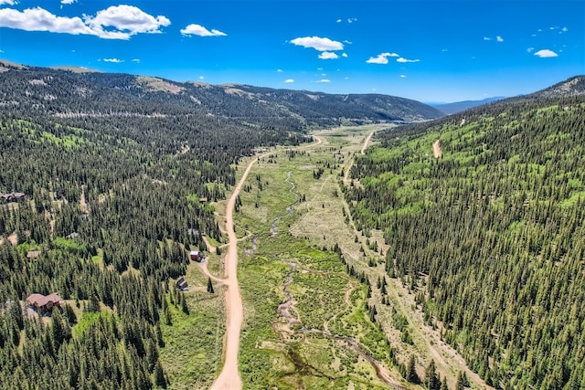 553 Nuthatch Dr, Alma, CO 80440 - photo 17