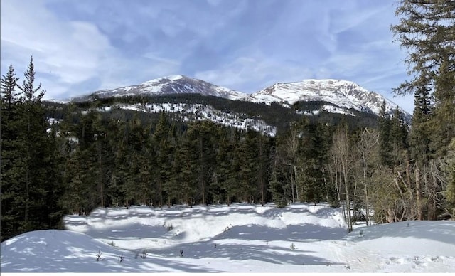 553 Nuthatch Dr, Alma, CO 80440 - photo 5