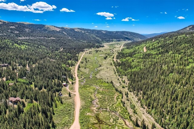 553 Nuthatch Dr, Alma, CO 80440 - photo 12