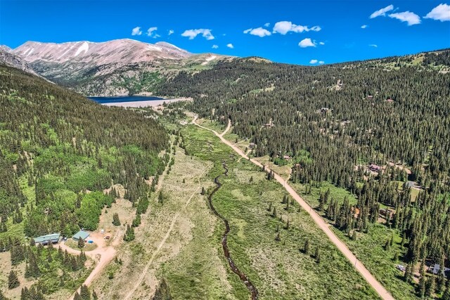553 Nuthatch Dr, Alma, CO 80440 - photo 16