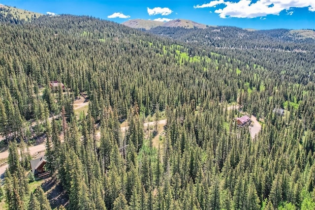 553 Nuthatch Dr, Alma, CO 80440 - photo 7