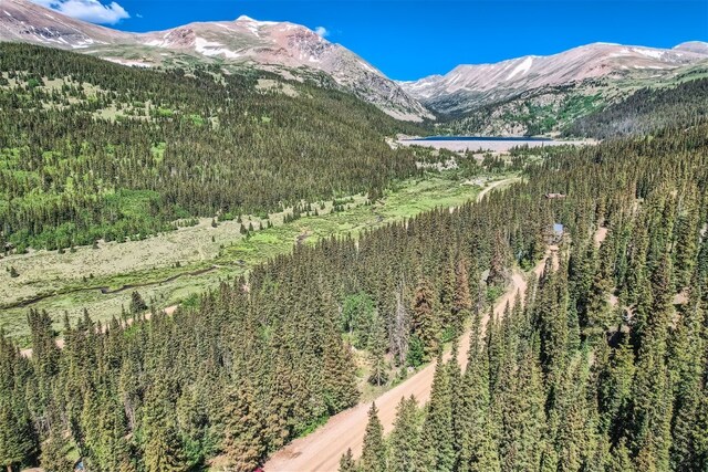 553 Nuthatch Dr, Alma, CO 80440 - photo 8