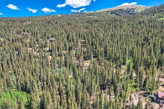 553 Nuthatch Dr, Alma, CO 80440 - photo 4
