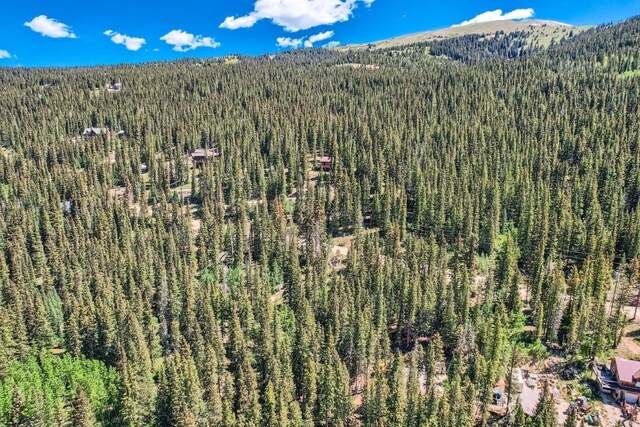 553 Nuthatch Dr, Alma, CO 80440 - photo 13