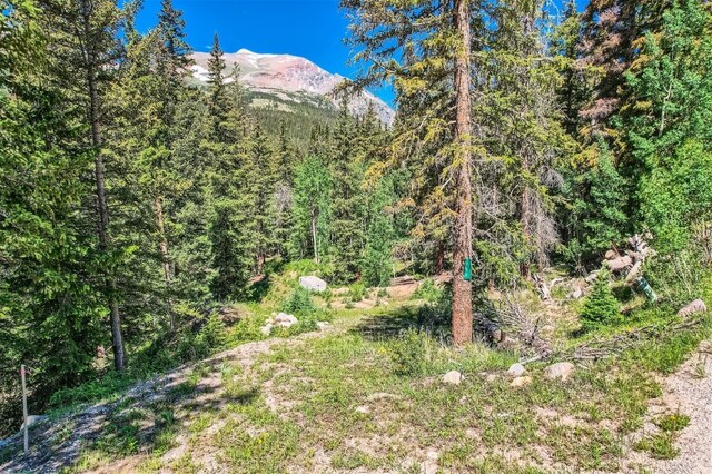 553 Nuthatch Dr, Alma, CO 80440 - photo 11