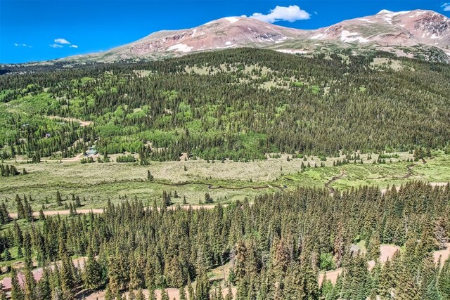 553 Nuthatch Dr, Alma, CO 80440 - photo 6
