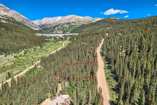 553 Nuthatch Dr, Alma, CO 80440 - photo 9