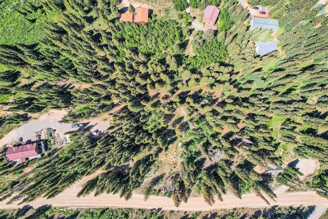 553 Nuthatch Dr, Alma, CO 80440 - photo 10