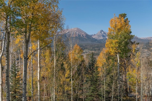 2206 Hamilton Creek Rd, Silverthorne, CO 80498 - view of mountain backdrop with a forest