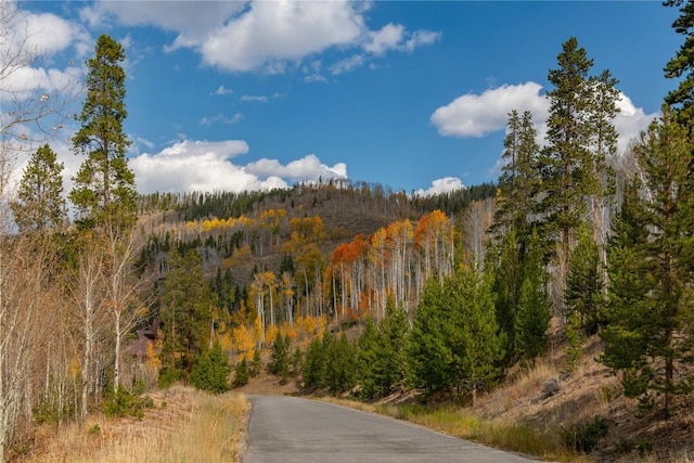2206 Hamilton Creek Rd, Silverthorne, CO 80498 - view of mountain background featuring a forest