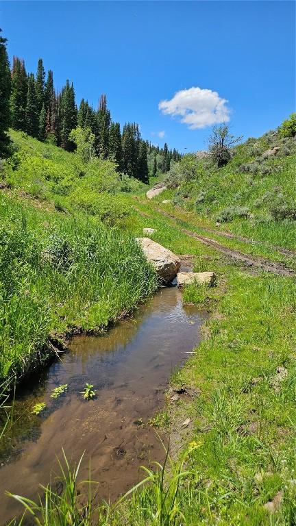 TBD Rcr 50 Blvd, Steamboat Springs, CO 80487 - photo 4