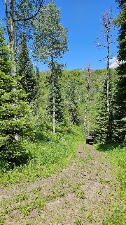 TBD Rcr 50 Blvd, Steamboat Springs, CO 80487 - photo 2
