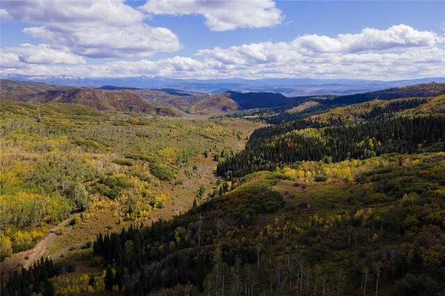 TBD Rcr 50 Blvd, Steamboat Springs, CO 80487 - photo 7