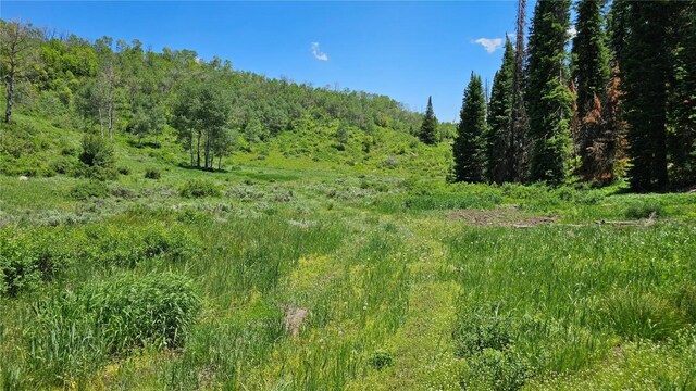 TBD Rcr 50 Blvd, Steamboat Springs, CO 80487 - photo 3