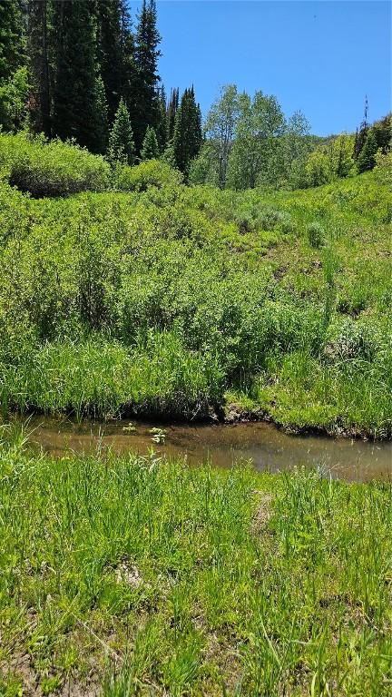 TBD Rcr 50 Blvd, Steamboat Springs, CO 80487 - photo 5