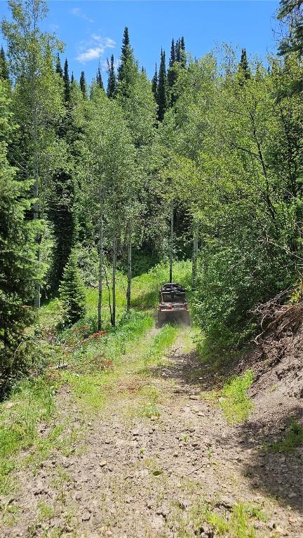 TBD Rcr 50 Blvd, Steamboat Springs, CO 80487 - photo 1
