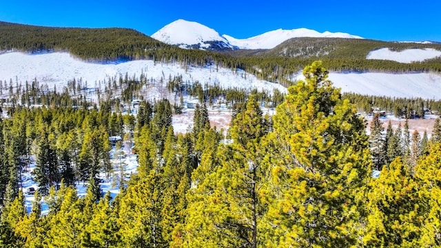125 Pennsylvania Creek Trl, Blue River, CO 80424