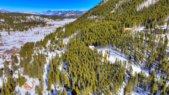 125 Pennsylvania Creek Trl, Blue River, CO 80424