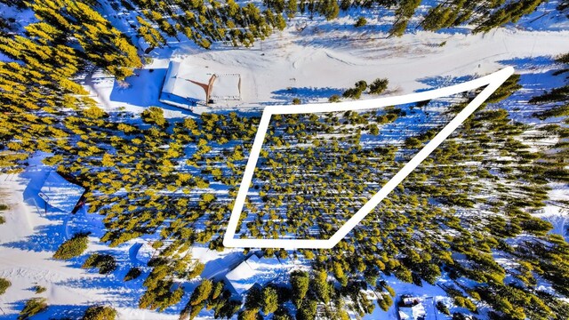 125 Pennsylvania Creek Trl, Blue River, CO 80424
