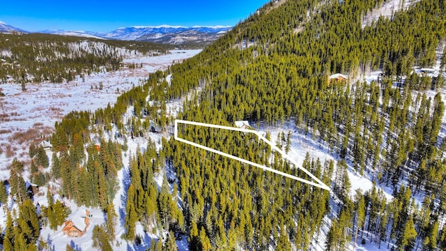 125 Pennsylvania Creek Trl, Blue River, CO 80424