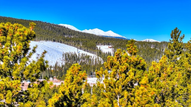 125 Pennsylvania Creek Trl, Blue River, CO 80424