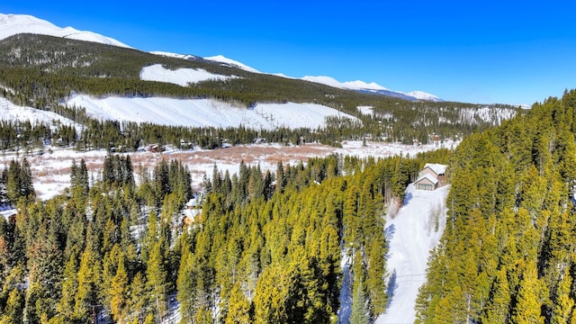125 Pennsylvania Creek Trl, Blue River, CO 80424